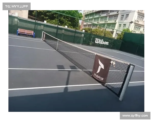 深入剖析网球比赛策略与技巧提升的关键因素及其影响分析 深入剖析网球比赛策略与技巧提升的关键因素及其影响分析